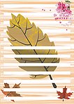 枫叶信纸