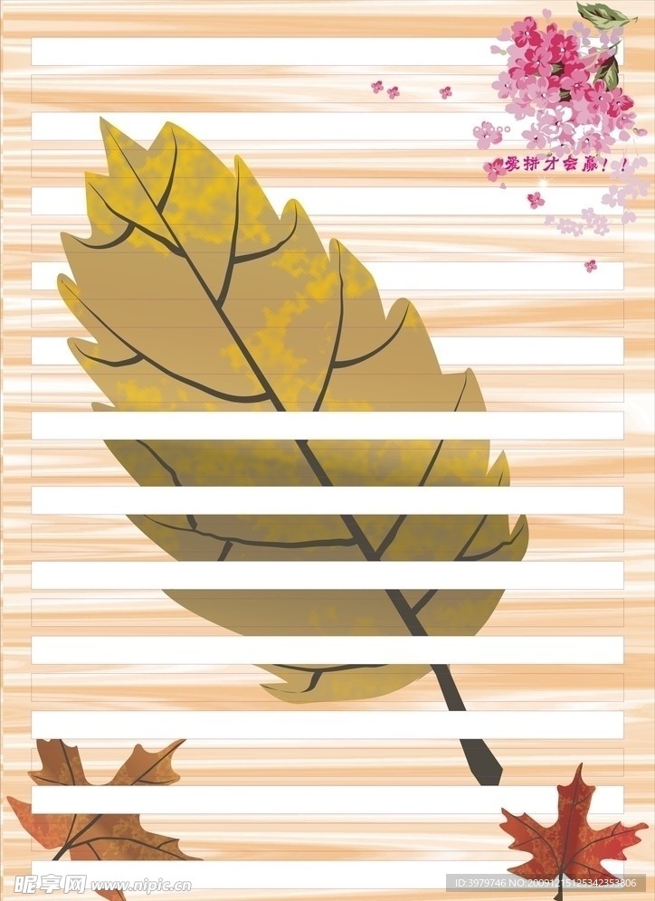 枫叶信纸