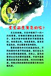 幼儿园