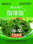 海草 包装设计