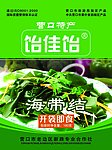 海带结 包装设计