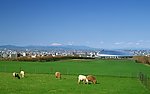 田园牧场