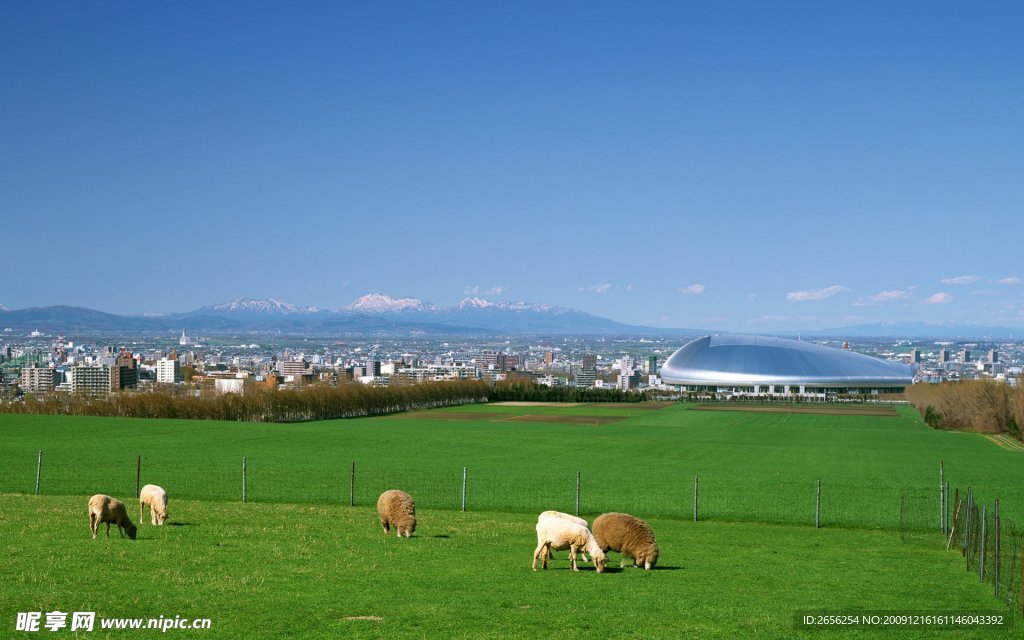 田园牧场