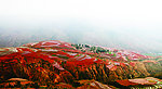 红土山乡