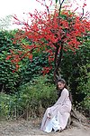 孙菲菲 牡丹亭