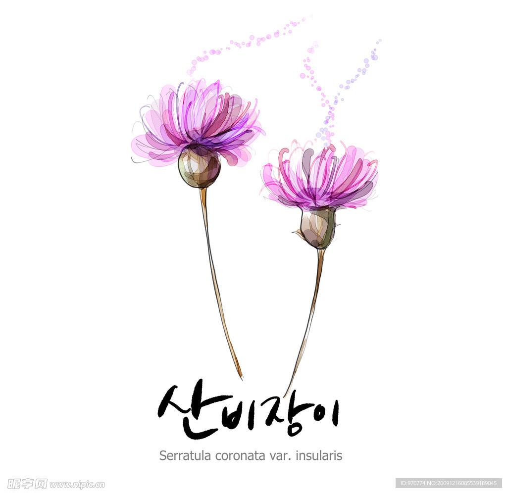 花朵