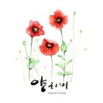 花朵