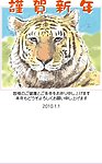 2010虎年素材