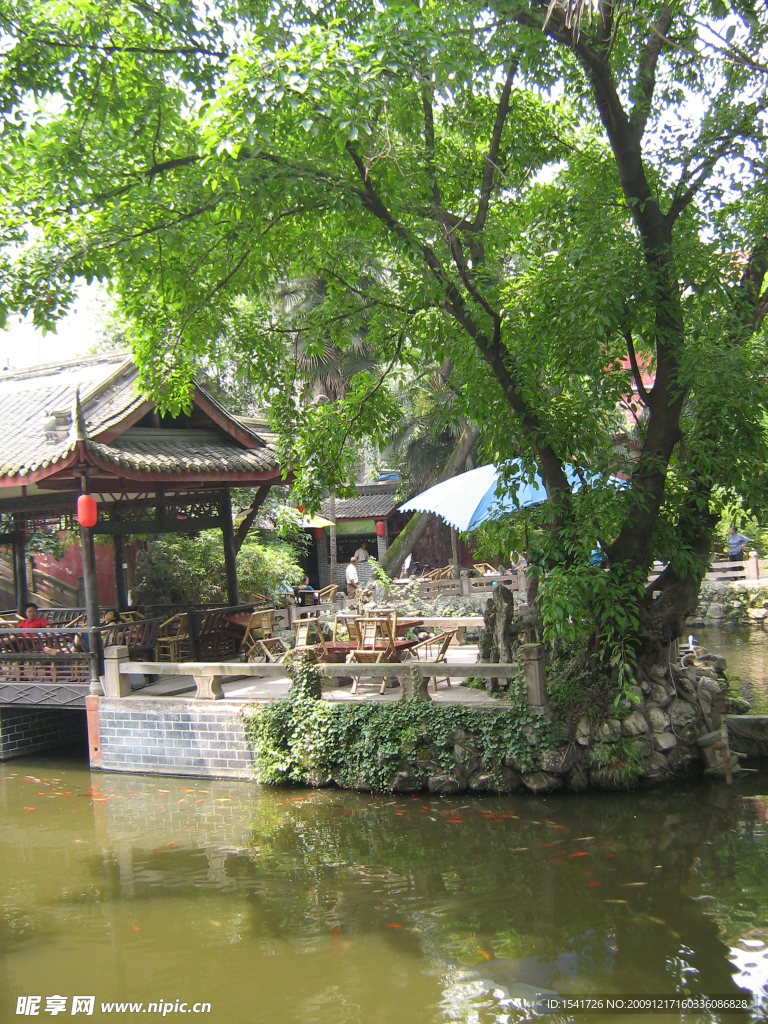 夏日风景