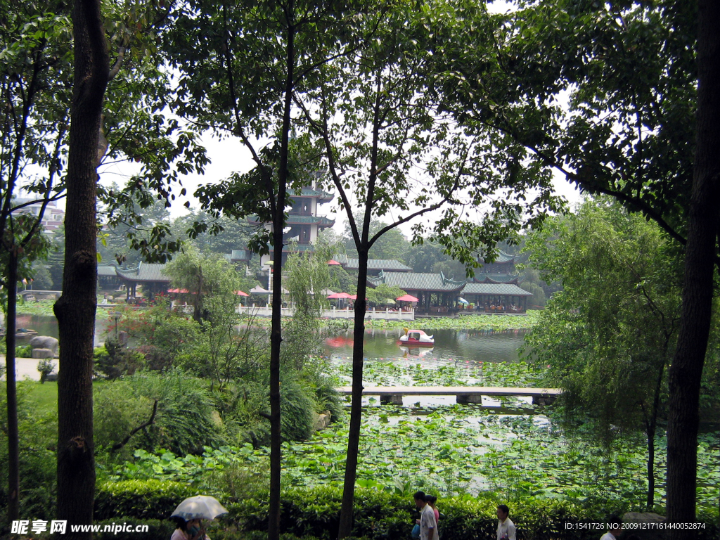 夏日风景