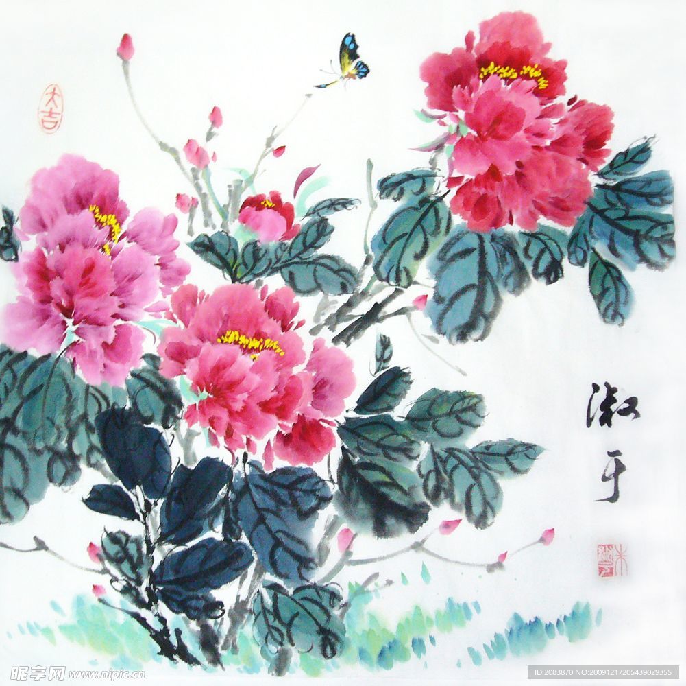 牡丹