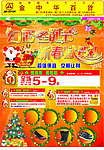 圣诞 元旦