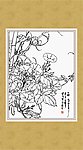 牵牛花