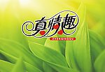 纸巾包装