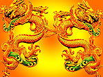 传统金龙