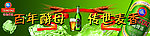 青岛啤酒