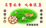 农家鸡蛋名片