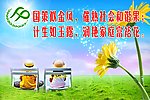 计生标语8