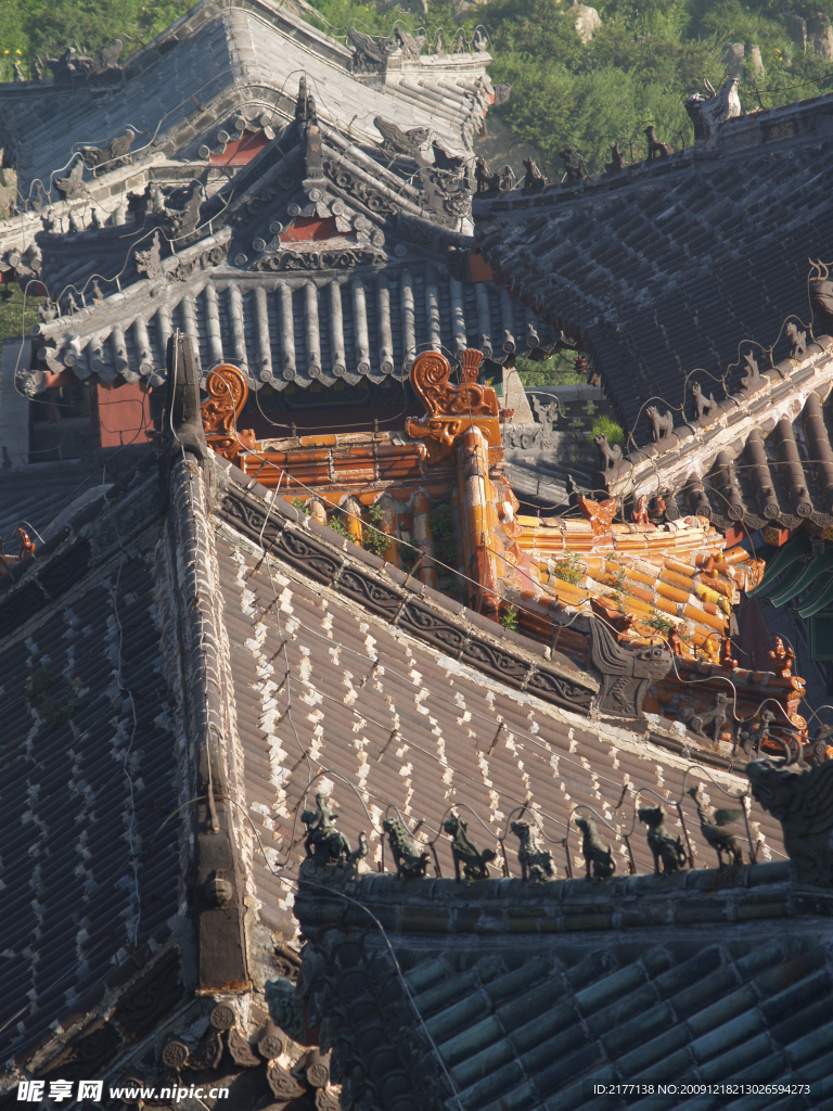 山东泰山