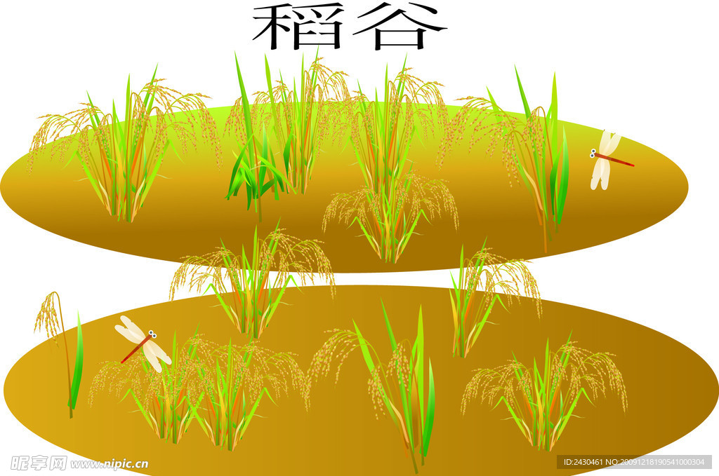 田野稻谷