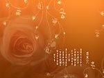 玫瑰底纹