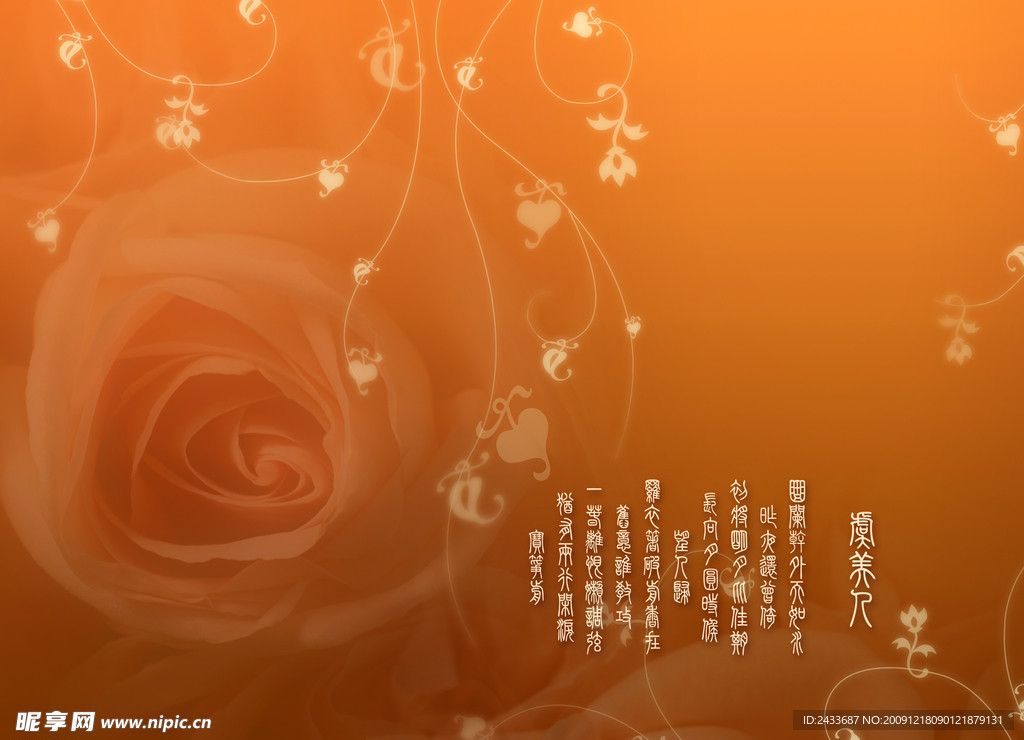玫瑰底纹