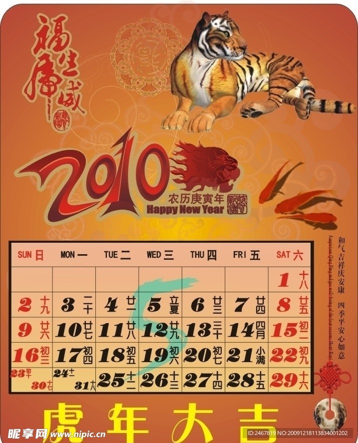 虎年5月