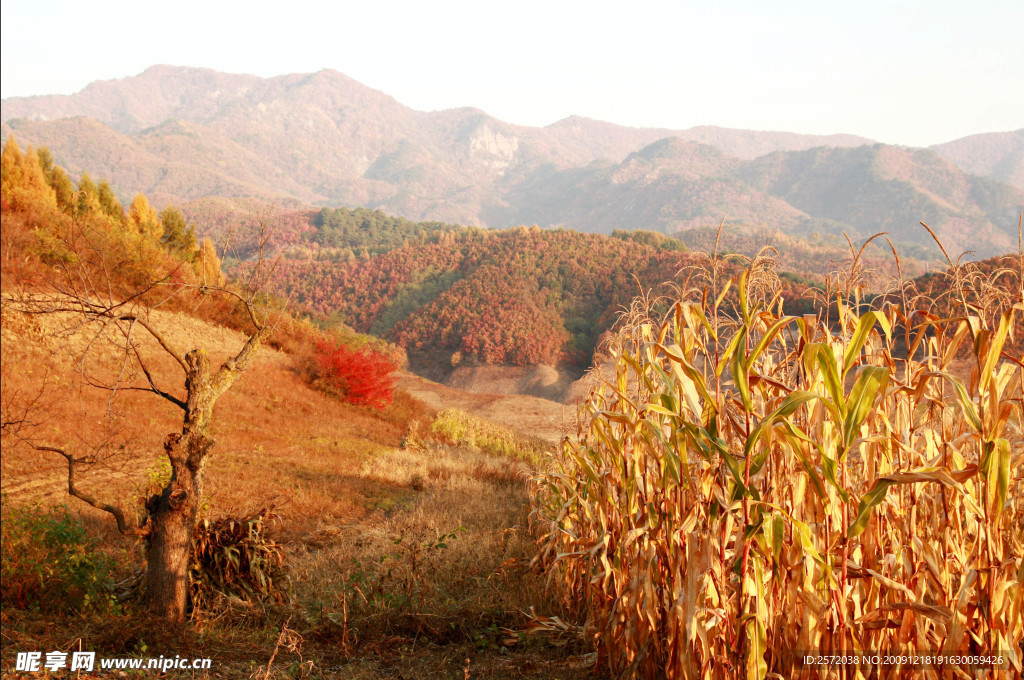 山川风光