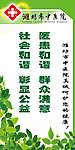 中医院宣传灯箱