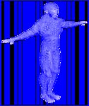 人体网格