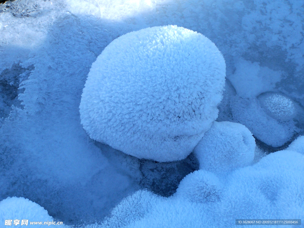 雪绒球