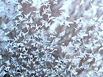 冰雪娇蓉