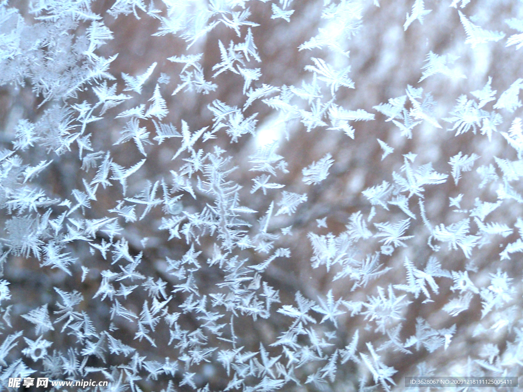 冰雪娇蓉