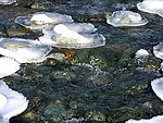 冰 水