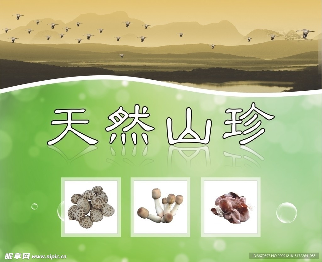 特产包装
