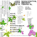 中文字体 素材