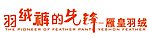 羽绒裤的先锋 字体设计