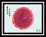 公益广告 年轮