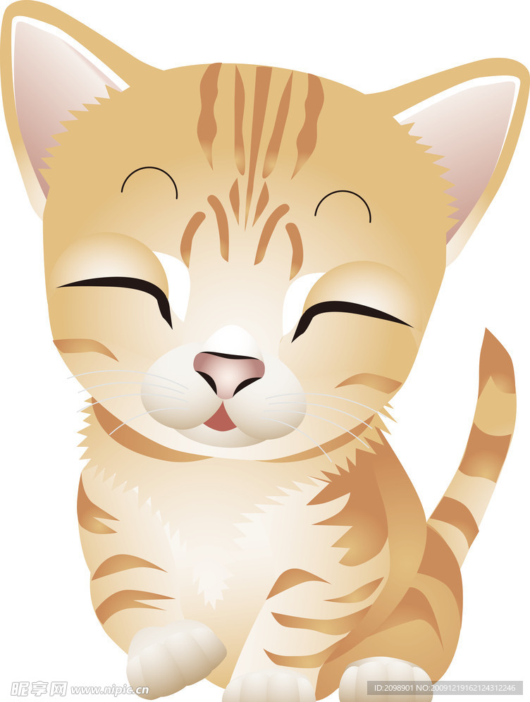 小猫咪