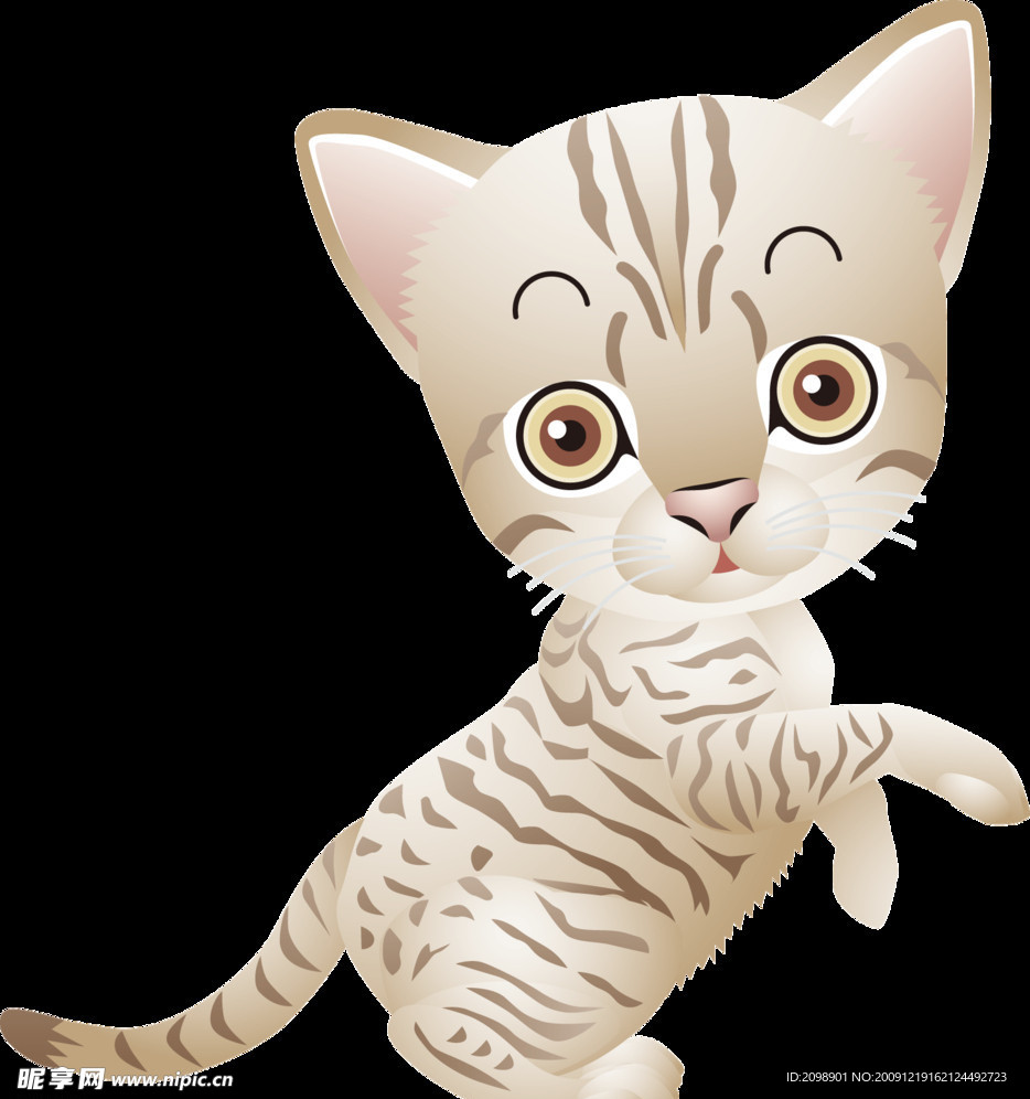 小猫咪