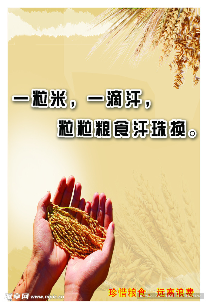 节约粮食看板