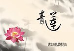 纸巾包装
