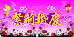 紫荆婚庆