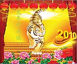 虎年行大运