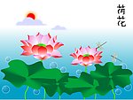 荷花