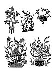 花纹
