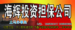 投资担保公司