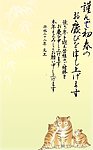 2010虎年贺卡