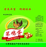 笨鸡蛋