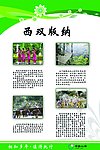 西双版纳